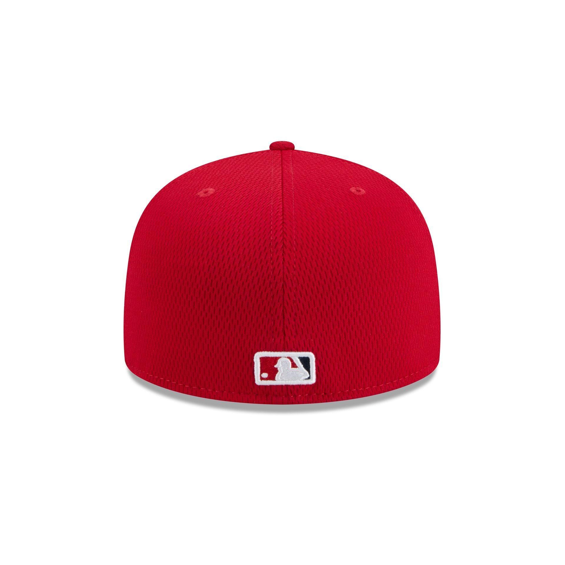 Chicago Cubs 2025 Batting Practice 9FIFTY Snapback Male Product Image