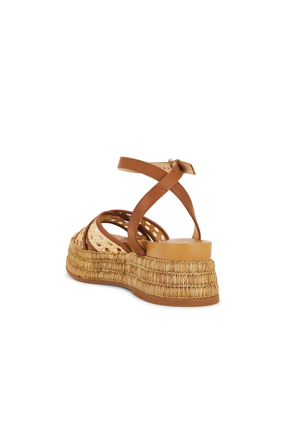 Wriley Sandal Dolce Vita Product Image