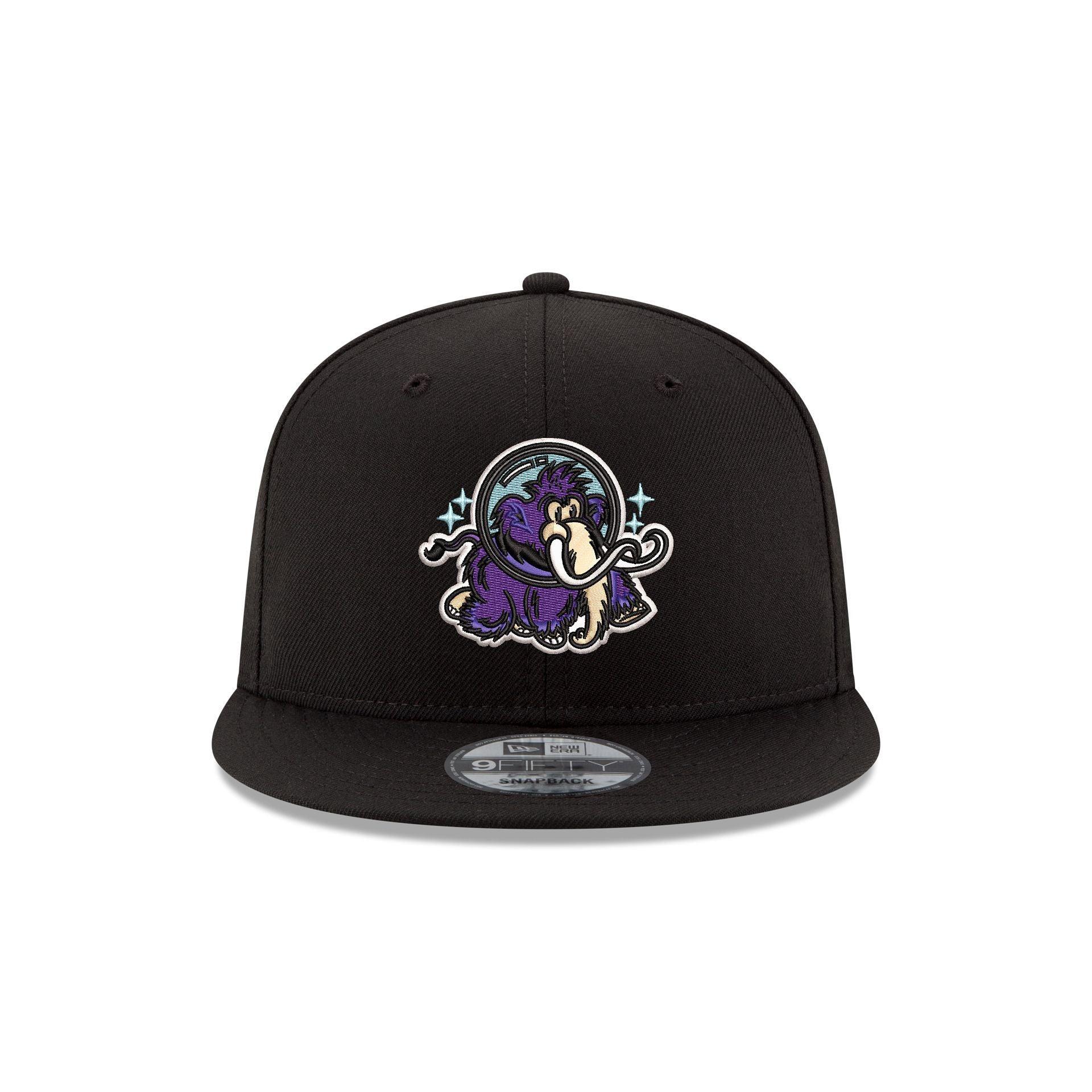 Erie Moon Mammoths 9FIFTY Snapback Hat Male Product Image