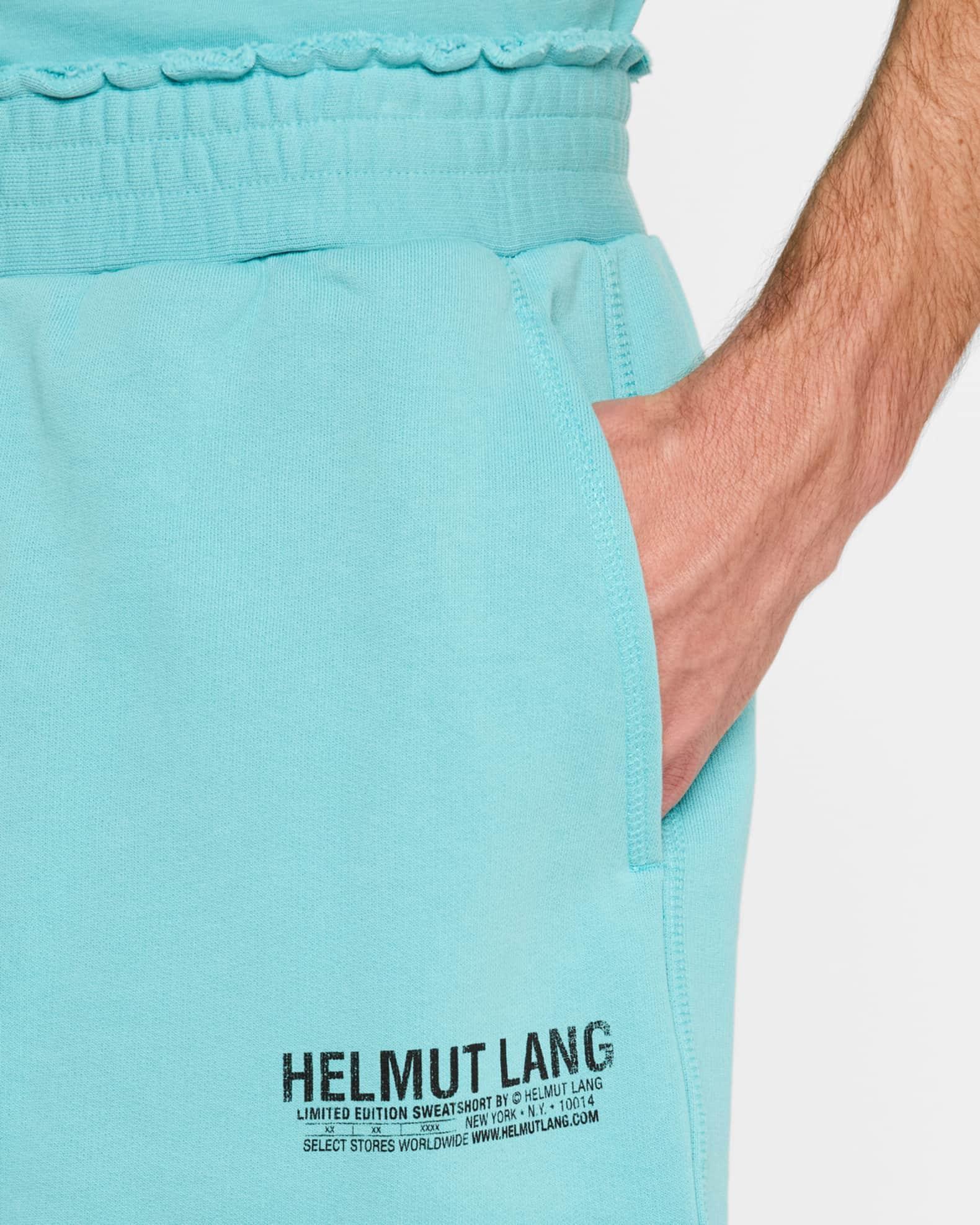 Men's Distressed Terry Shorts Product Image