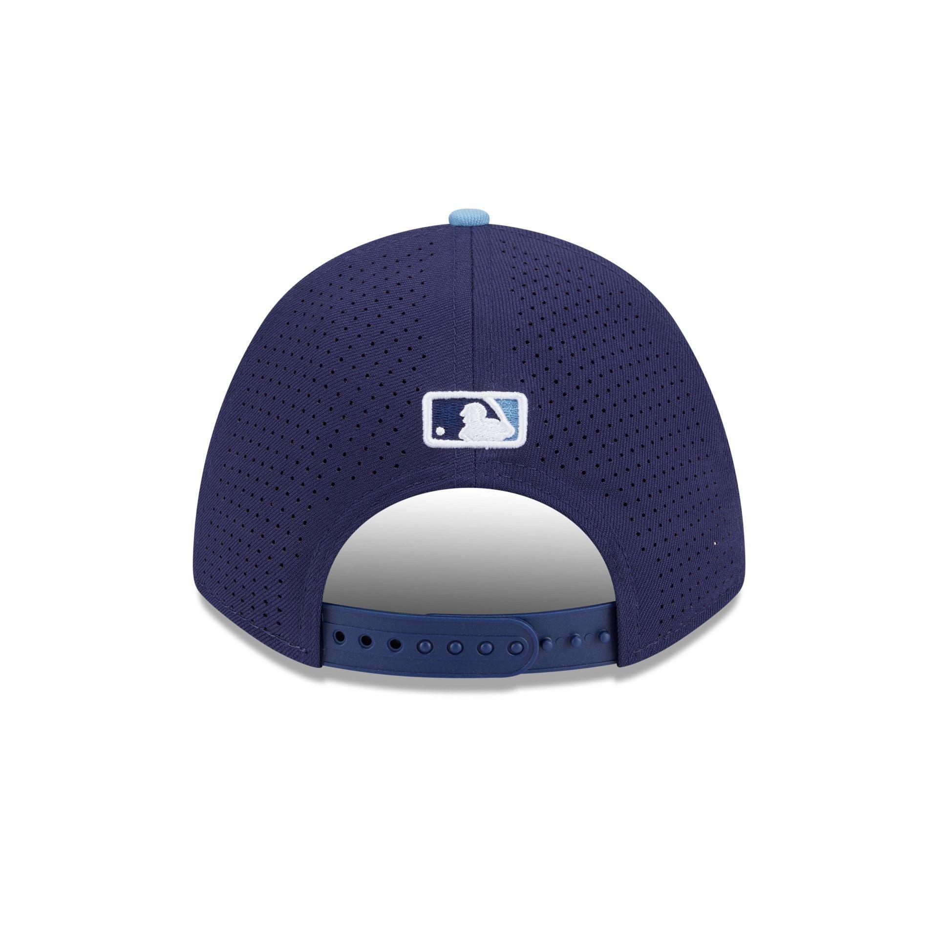 Los Angeles Dodgers 2025 Spring Training 39THIRTY Stretch Fit Hat Male Product Image