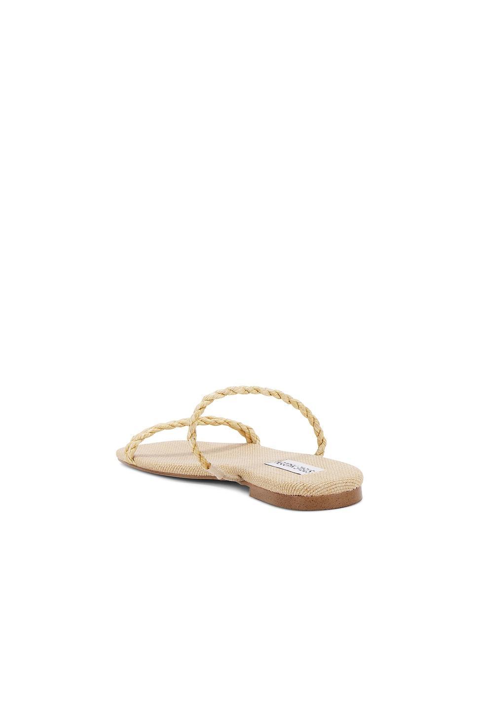 Tahiti Sandal Steve Madden Product Image