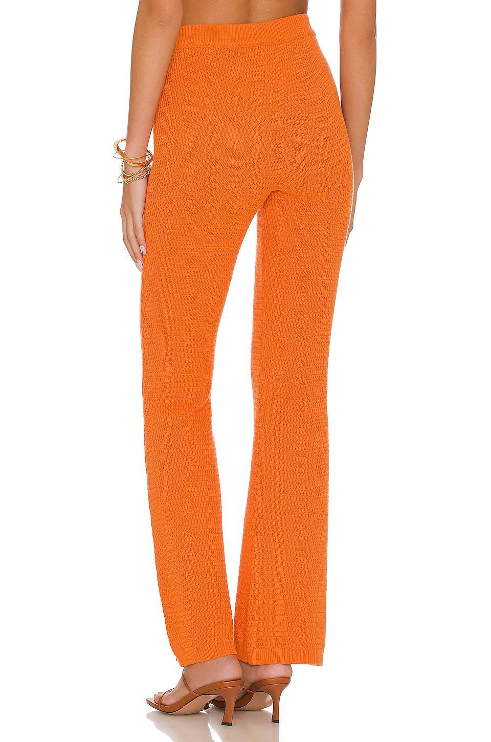 Devitta Knit Pant Product Image