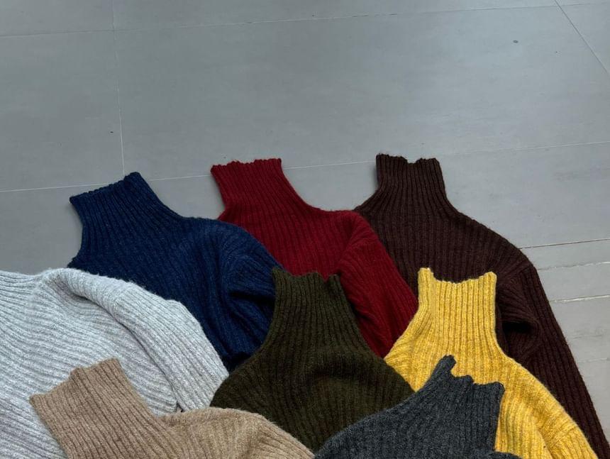 Turtleneck Plain Sweater Product Image