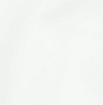 Santiago Cotton Stretch Shorts Male Product Image