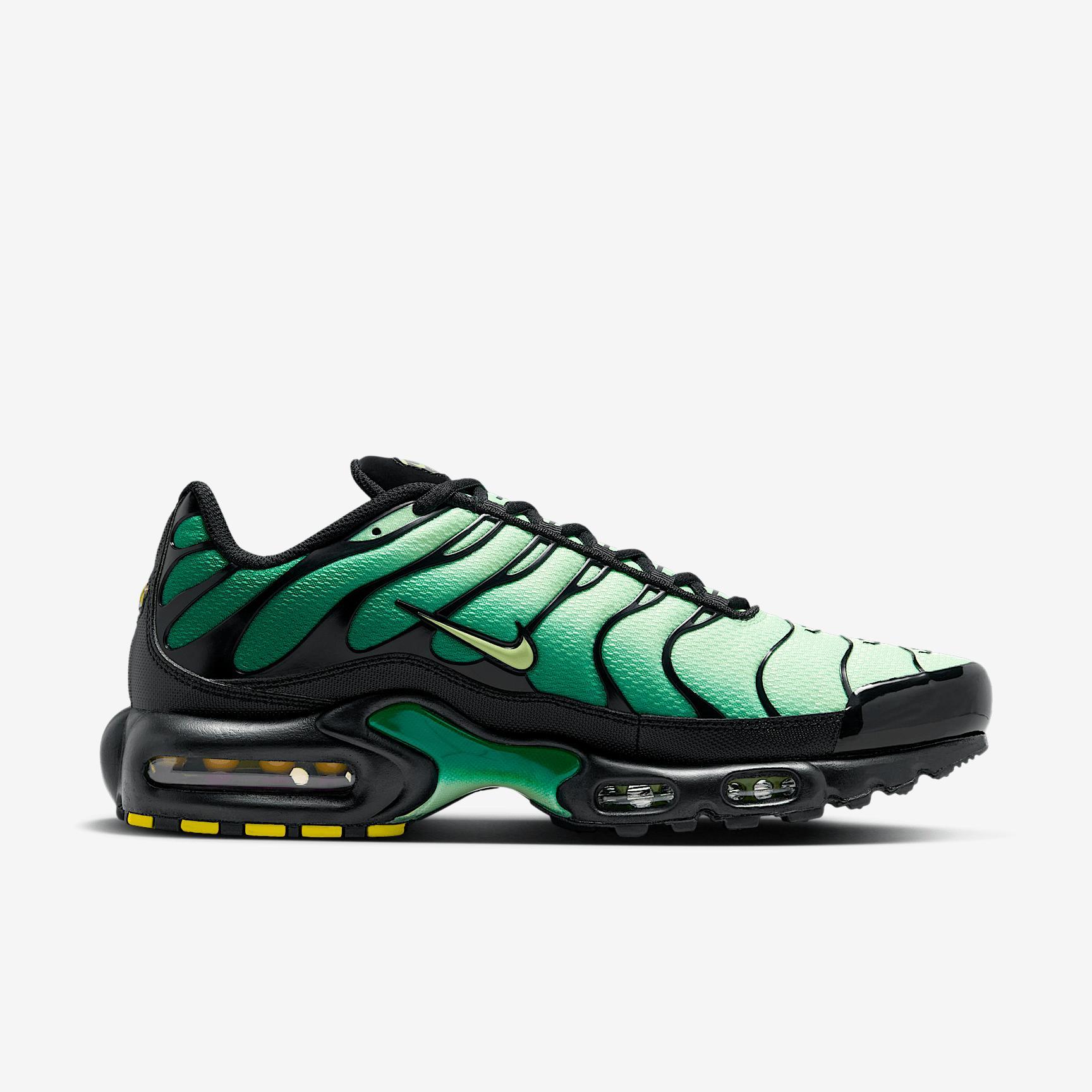 Nike Air Max Plus Men's Shoes Product Image