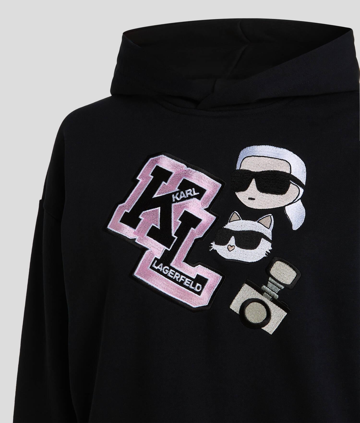 IKON VARISTY HOODIE Product Image