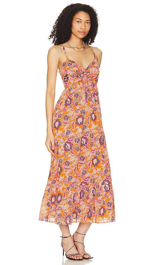 Oliana Midi Dress Cleobella Product Image