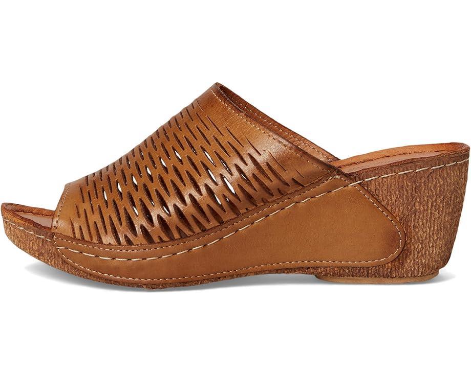Spring Step Product Image
