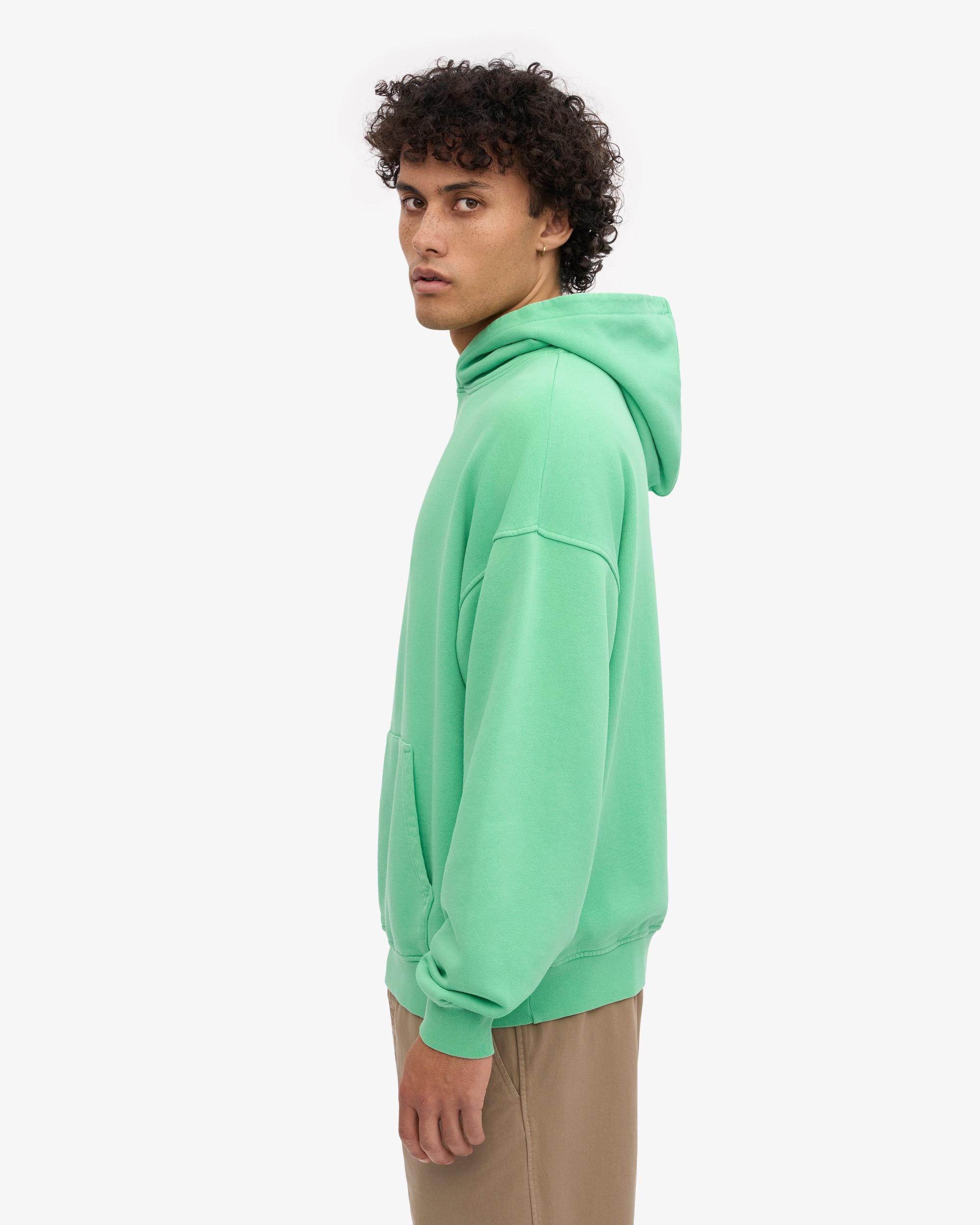 Organic Oversized Hood - Pearly Purple Product Image