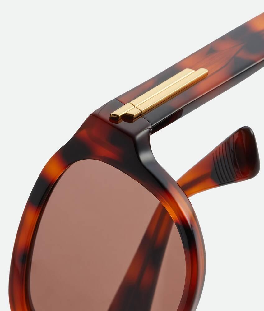 Classic Aviator Sunglasses in Havana/red Product Image