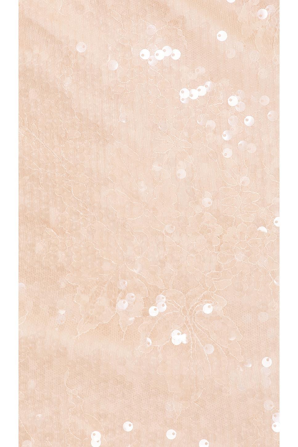 Enyo Lace Mini Dress Camila Coelho Product Image