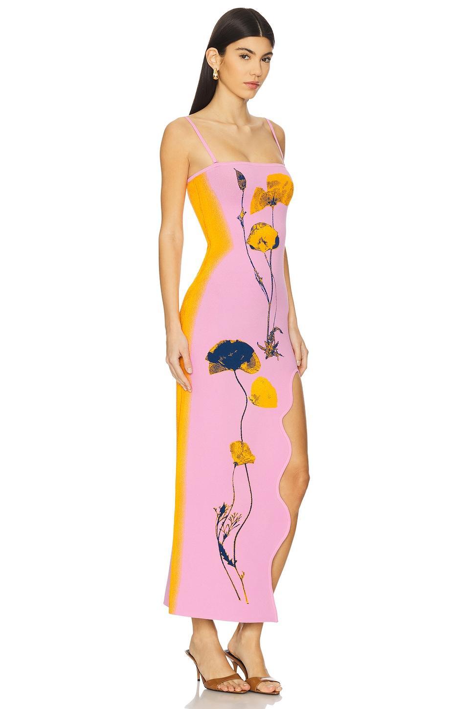 Iris Flower Print Maxi Tank Dress PH5 Product Image