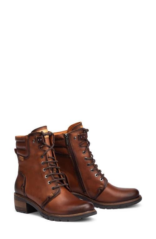 PIKOLINOS San Sebastia W1T-8812 (Cuero) Women's Shoes Product Image
