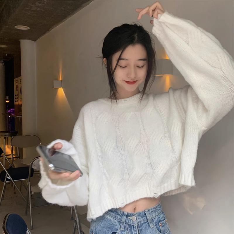Crew Neck Plain Cable Knit Sweater Product Image