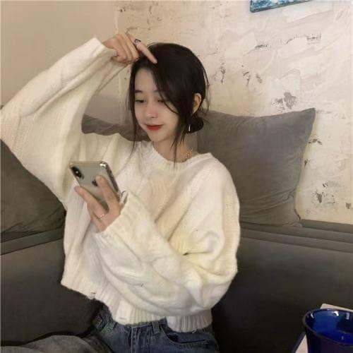 Crew Neck Plain Cable Knit Sweater Product Image