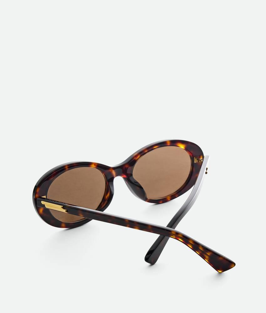 Classic Oval Sunglasses in Havana/brown Product Image