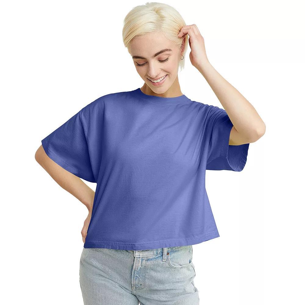Hanes Womens Garment Dyed Cropped Cotton T-Shirt Anchor Slate 2XL Product Image