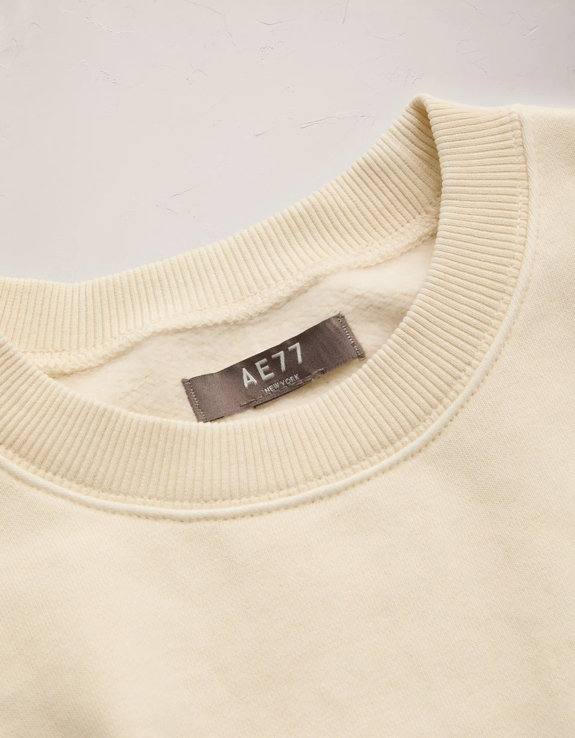 AE77 Premium T-Shirt Product Image