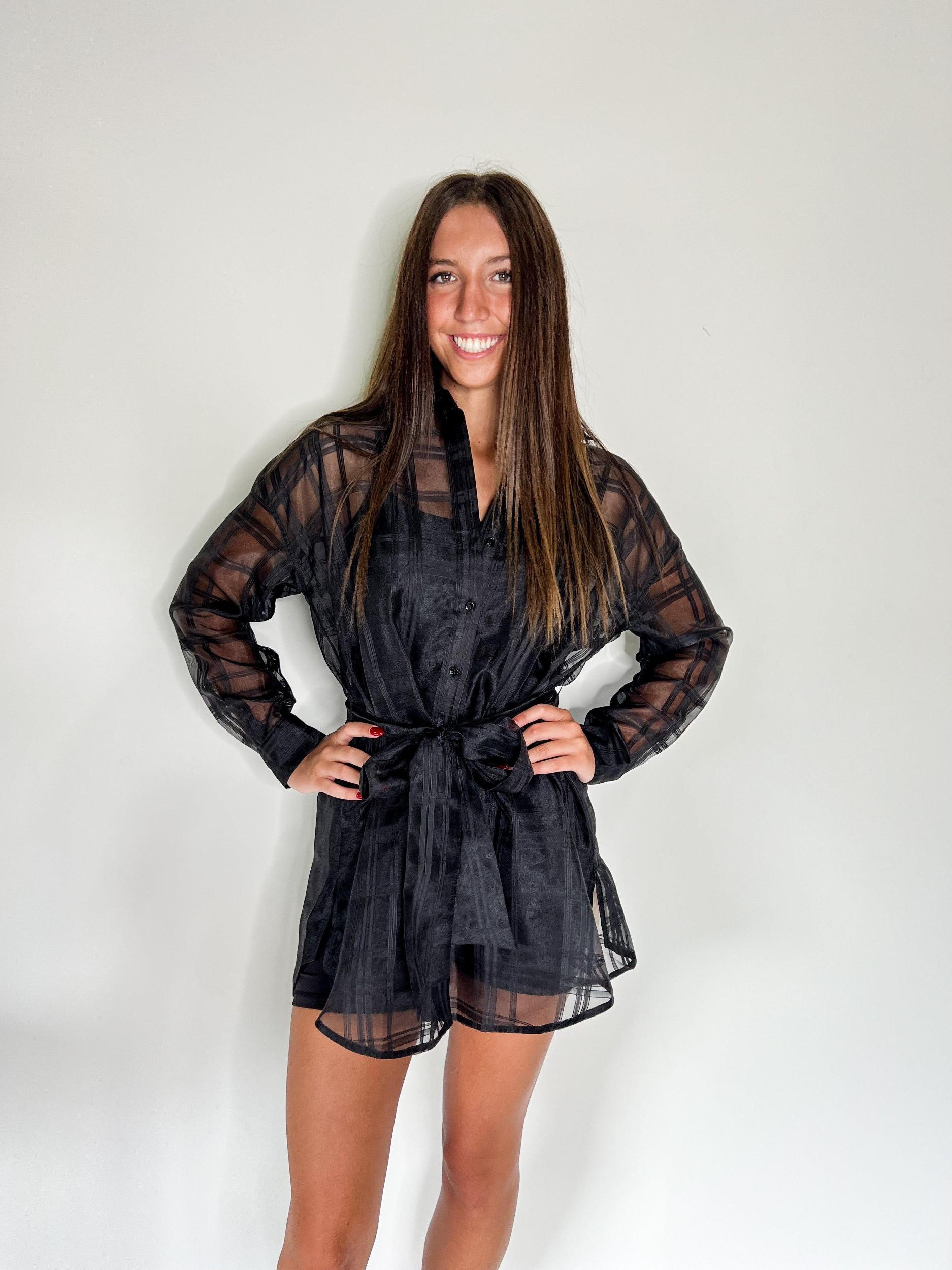 Checked Organza Tie Blouse Product Image