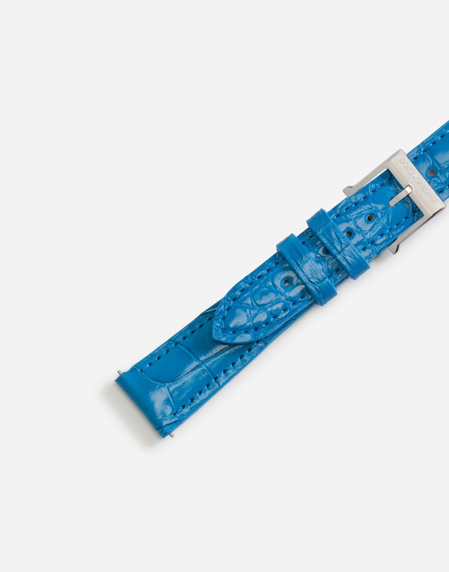DOLCE & GABBANA Alligator Strap With Buckle And Hook In Steel In Blue Product Image