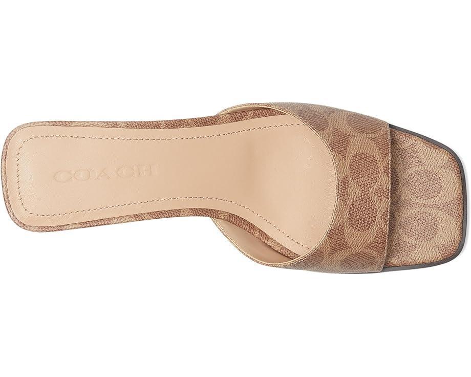 Sachaa Block Heel Mule Sandal Product Image