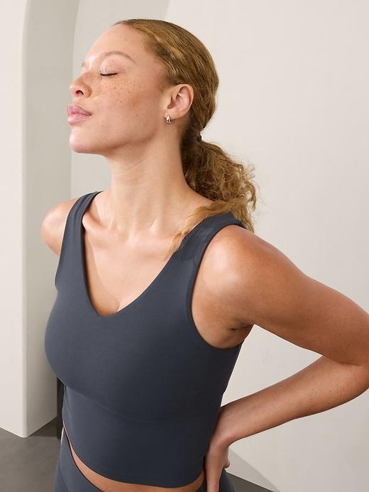 Transcend V-Neck Crop Bra D-DD Product Image