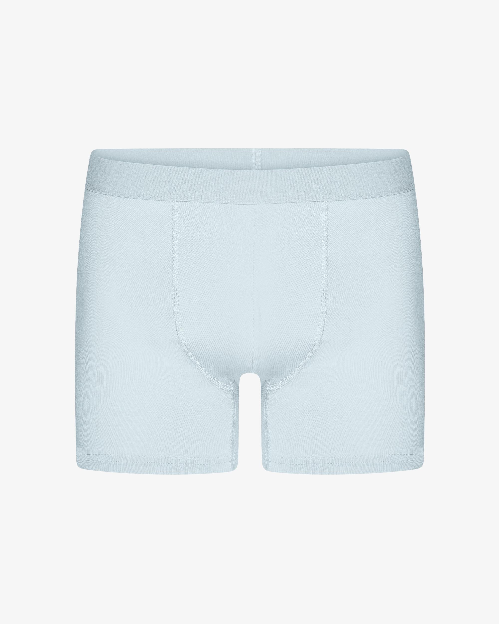 Classic Organic Boxer Briefs - Lava Grey Product Image