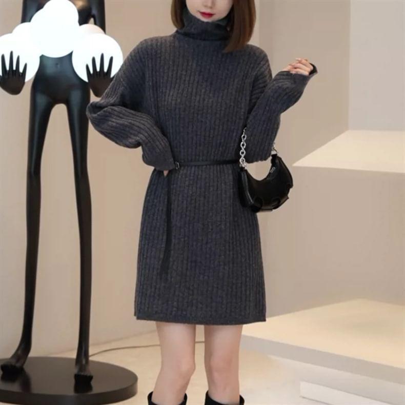 Long-Sleeve Turtleneck Plain Ribbed Mini Knit Dress Product Image