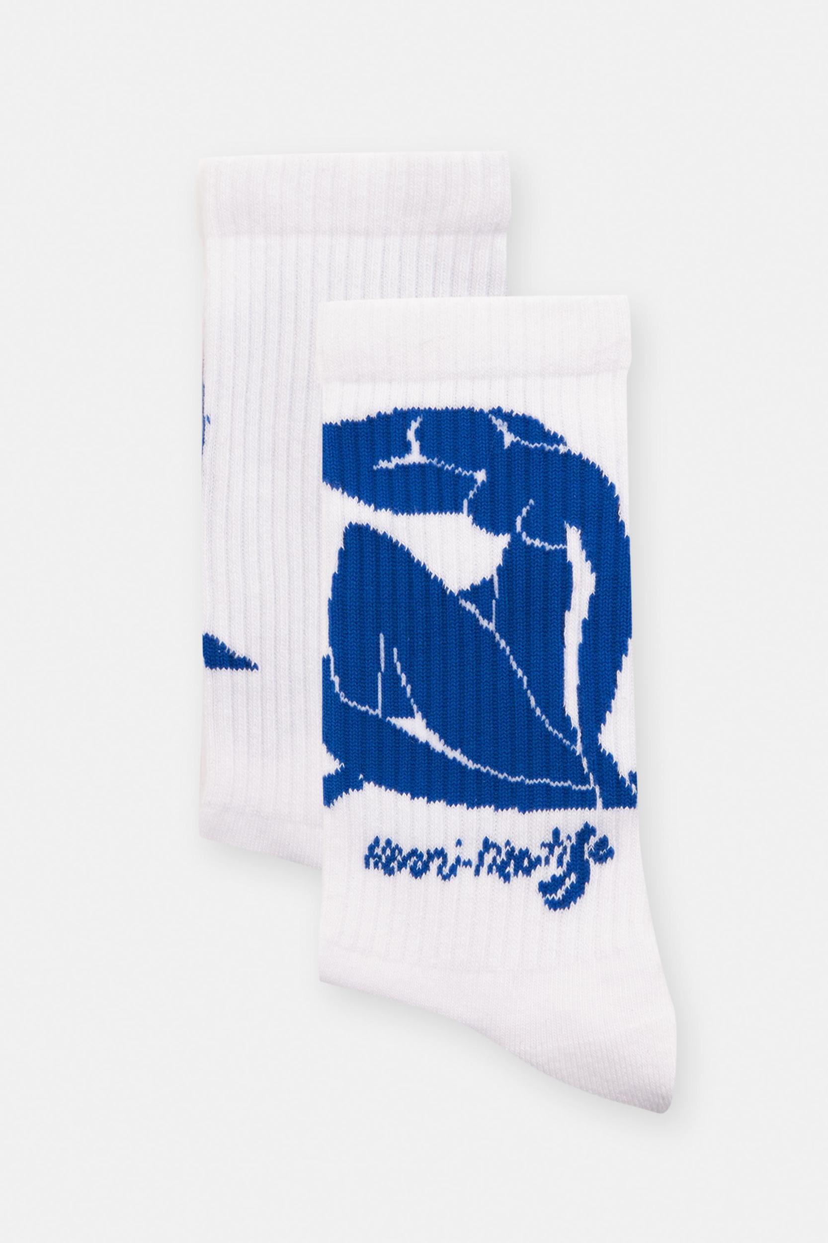 Henri Matisse socks Product Image