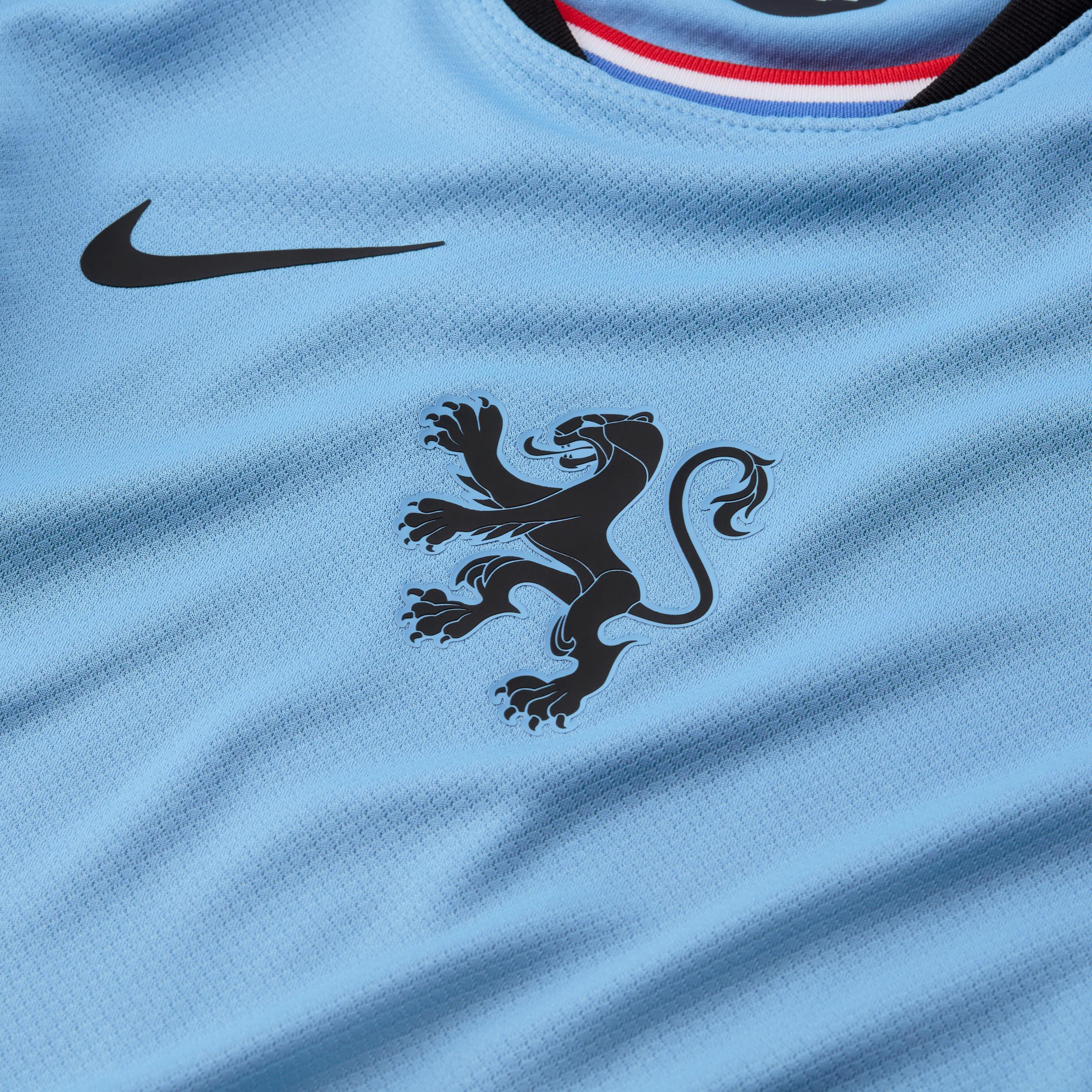 Netherlands 2025 Stadium Away (Women's Team) Big Kids' Nike Dri-FIT Soccer Replica Jersey Product Image