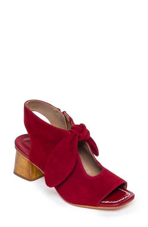 Lizzie Suede Knot Zip Sandals Product Image