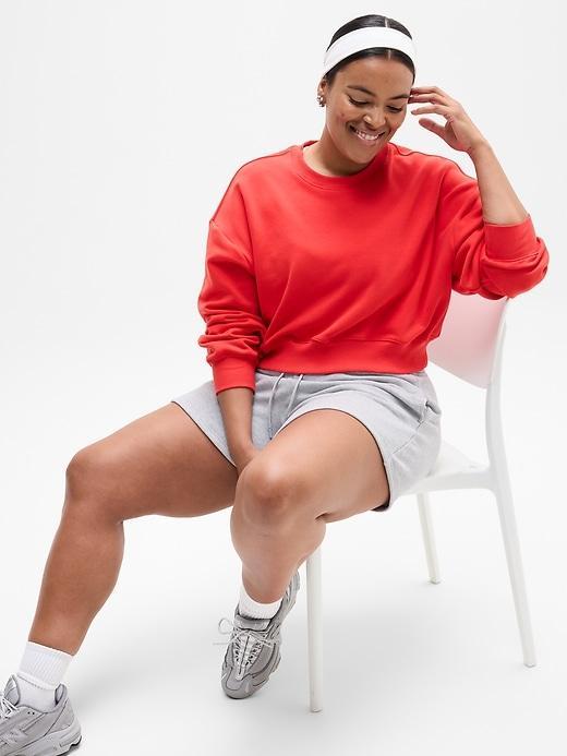 Heavyweight Terry Crop Crew Sweatshirt Product Image