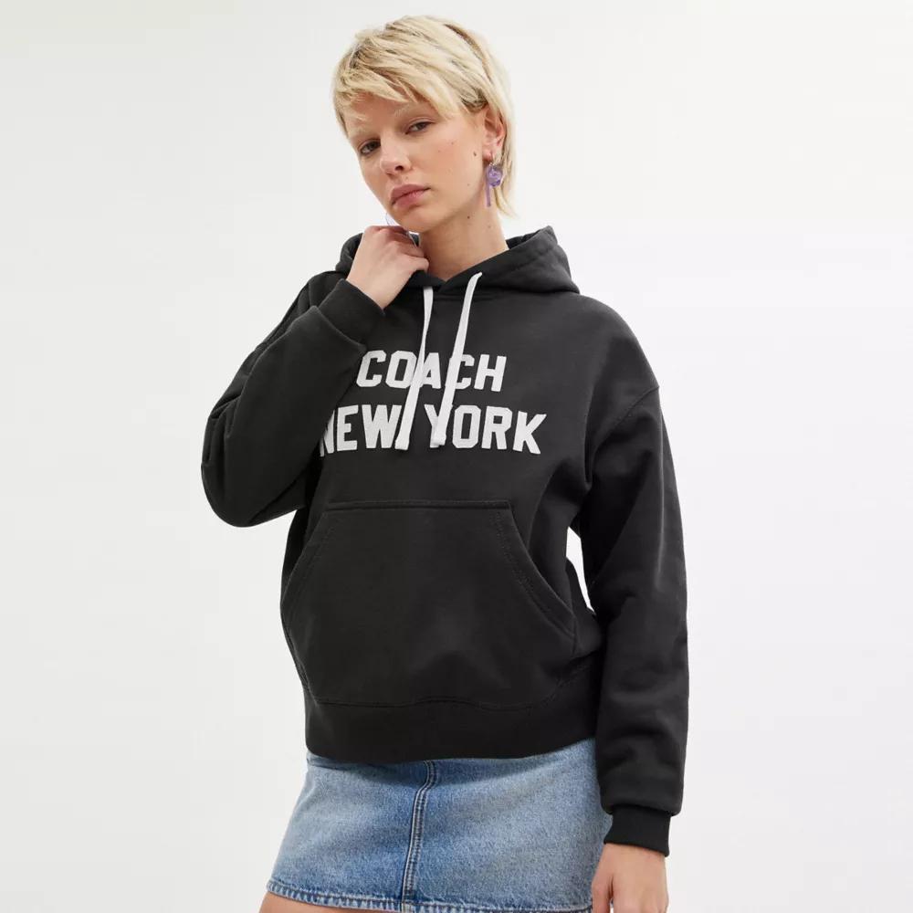 Hoodie Sweatshirt Product Image