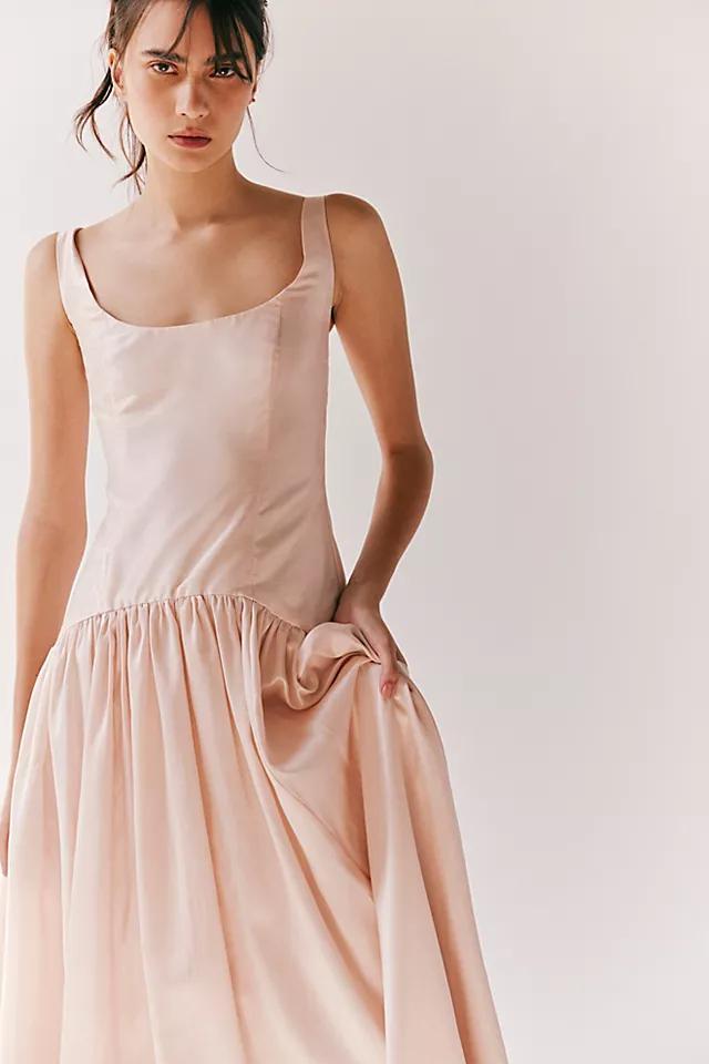 Hutch The Ridge Dress Product Image