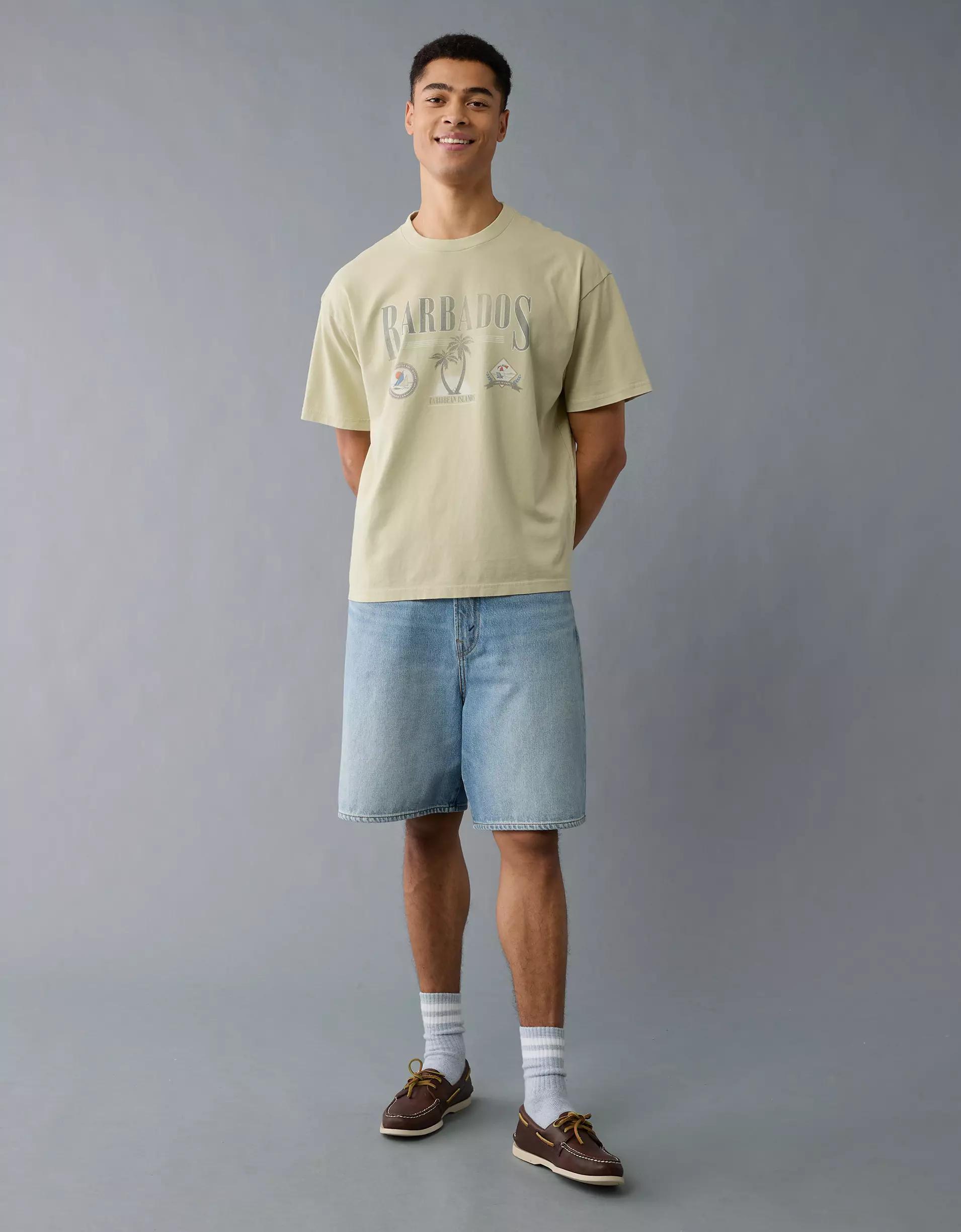 AE Boxy Destination Graphic T-Shirt Product Image