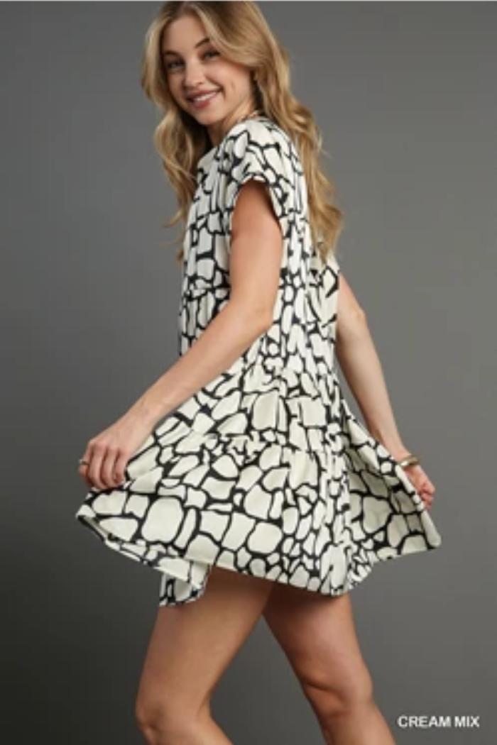 Giraffe Print Dress Product Image