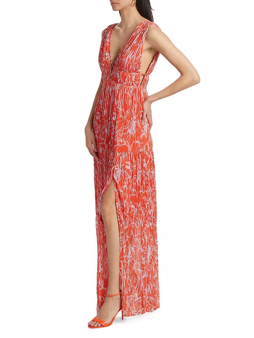 Pescadero Floral Maxi Dress Product Image