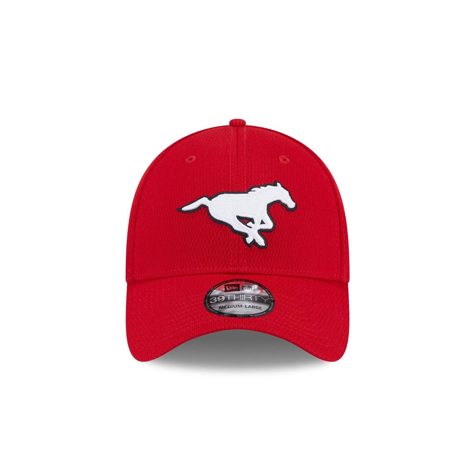 Tennessee Titans Team Classic 39THIRTY Stretch Fit Hat Male Product Image