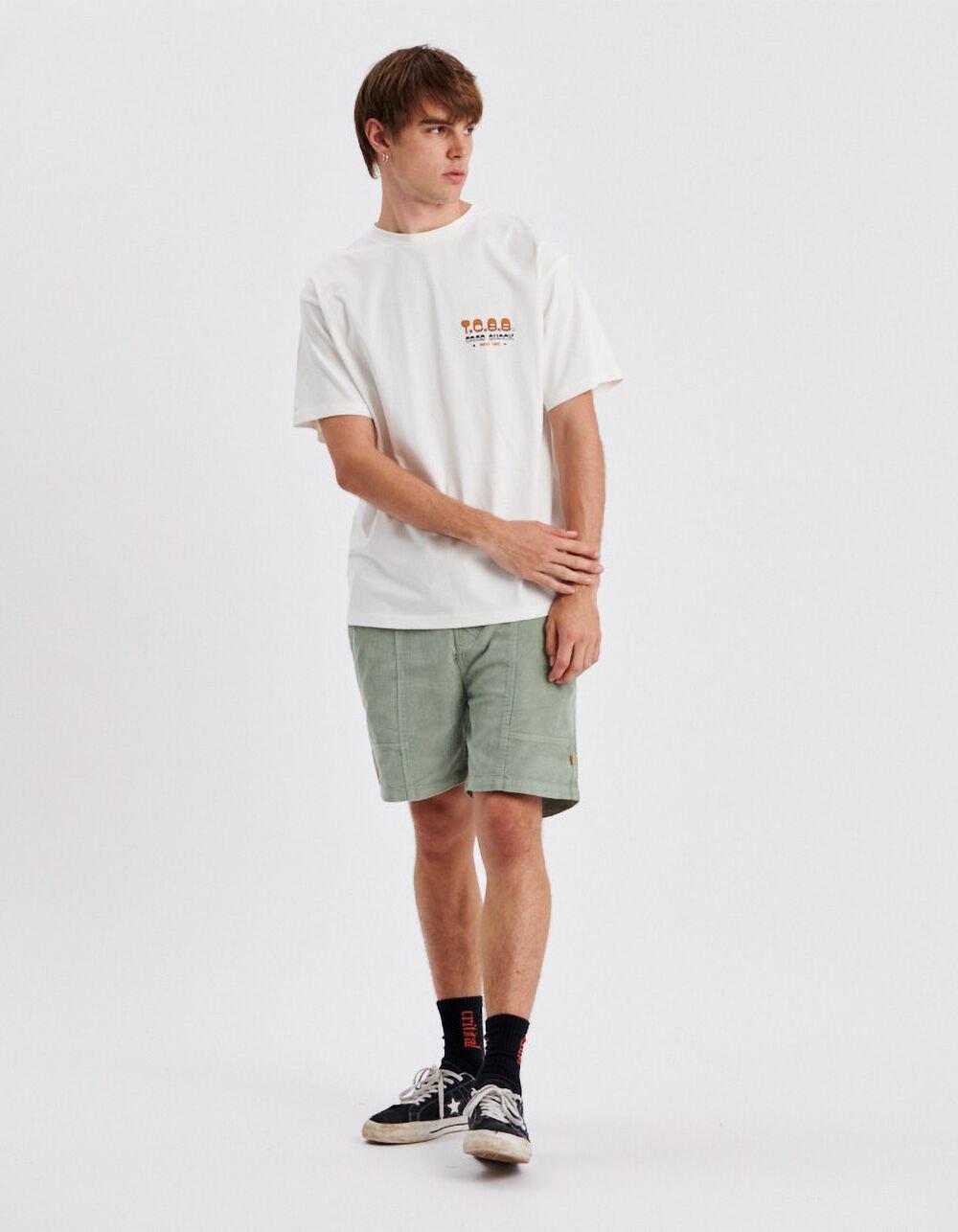 THE CRITICAL SLIDE SOCIETY Gerald Mens Tee - WHITE Product Image