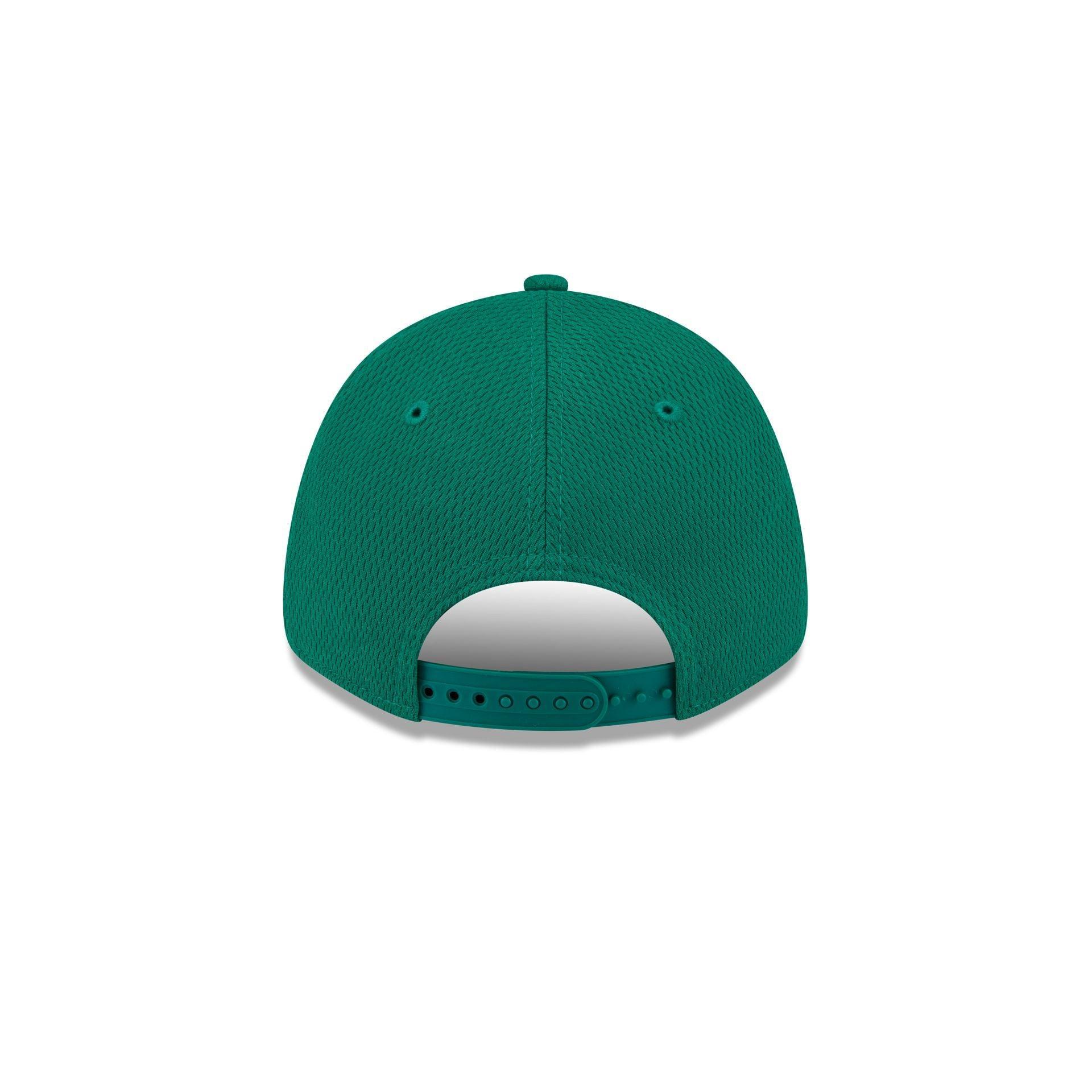 Saskatchewan Roughriders Team 9FORTY Snapback Hat Male Product Image