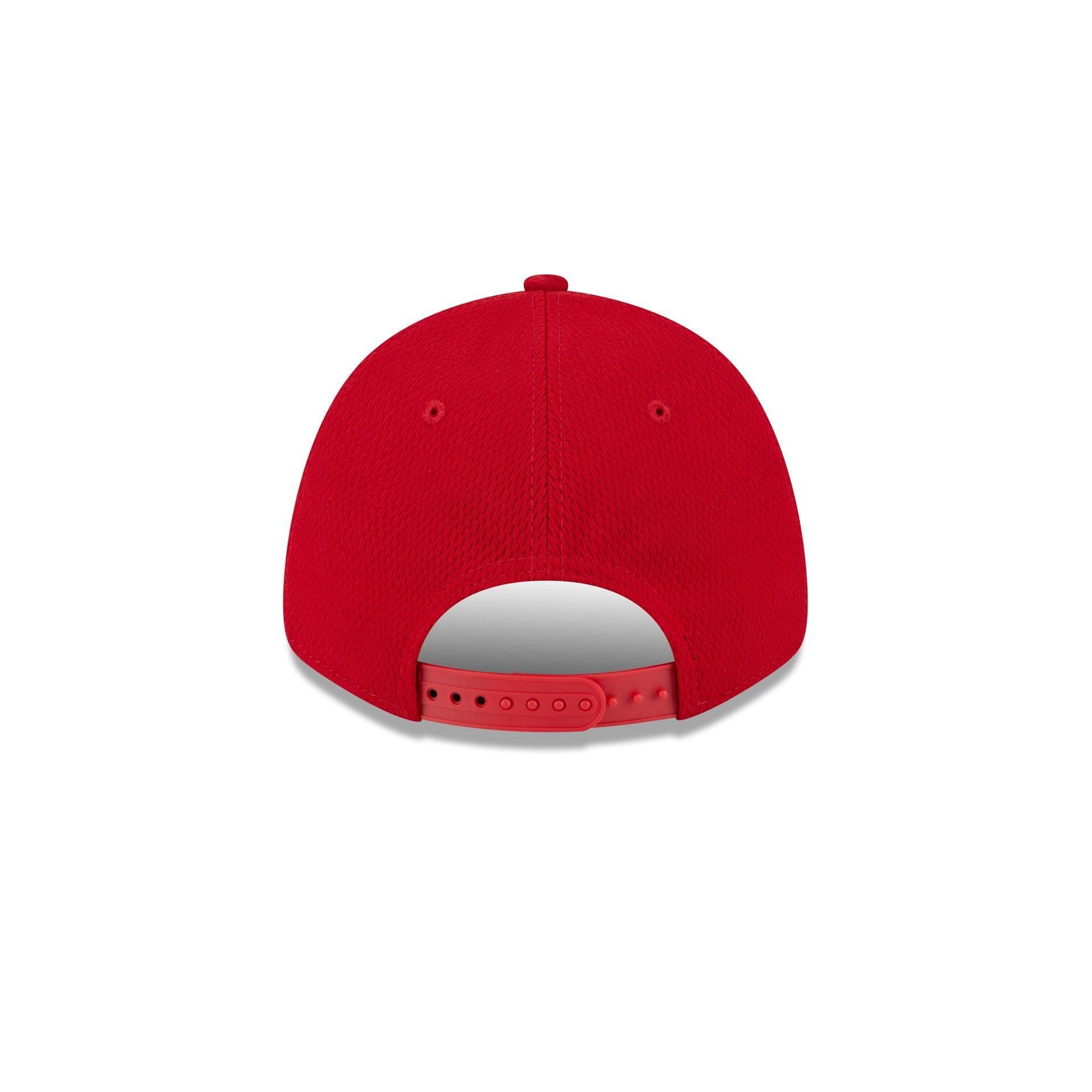Angry Beavers 39THIRTY Stretch Fit Hat Male Product Image