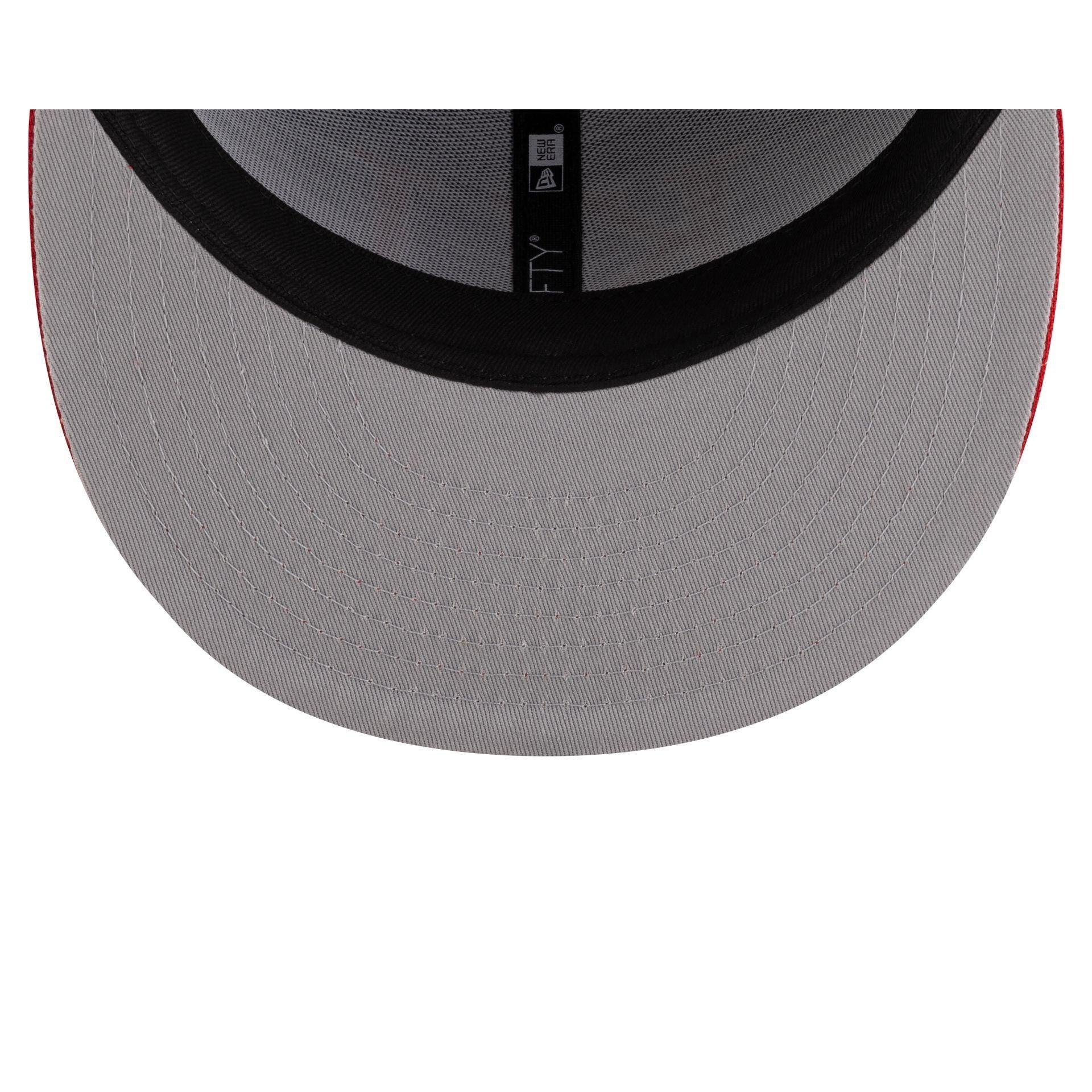 Chicago Cubs 2025 Batting Practice 9FIFTY Snapback Male Product Image