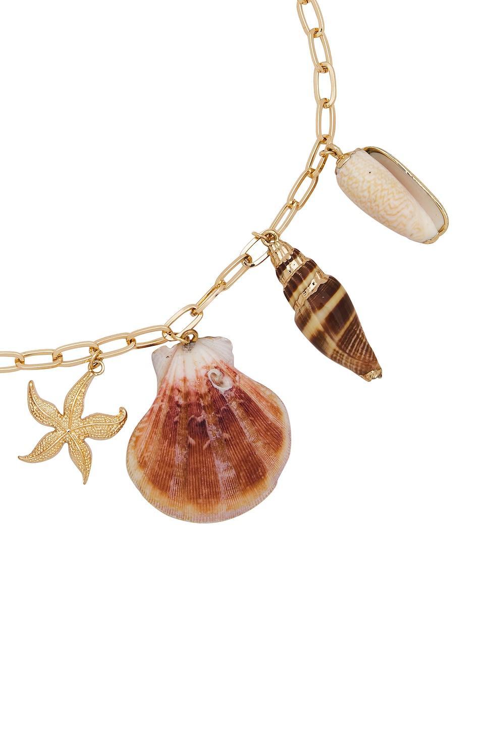 COLLIER PRIVATE ISLAND ASSORTED SHELL Product Image