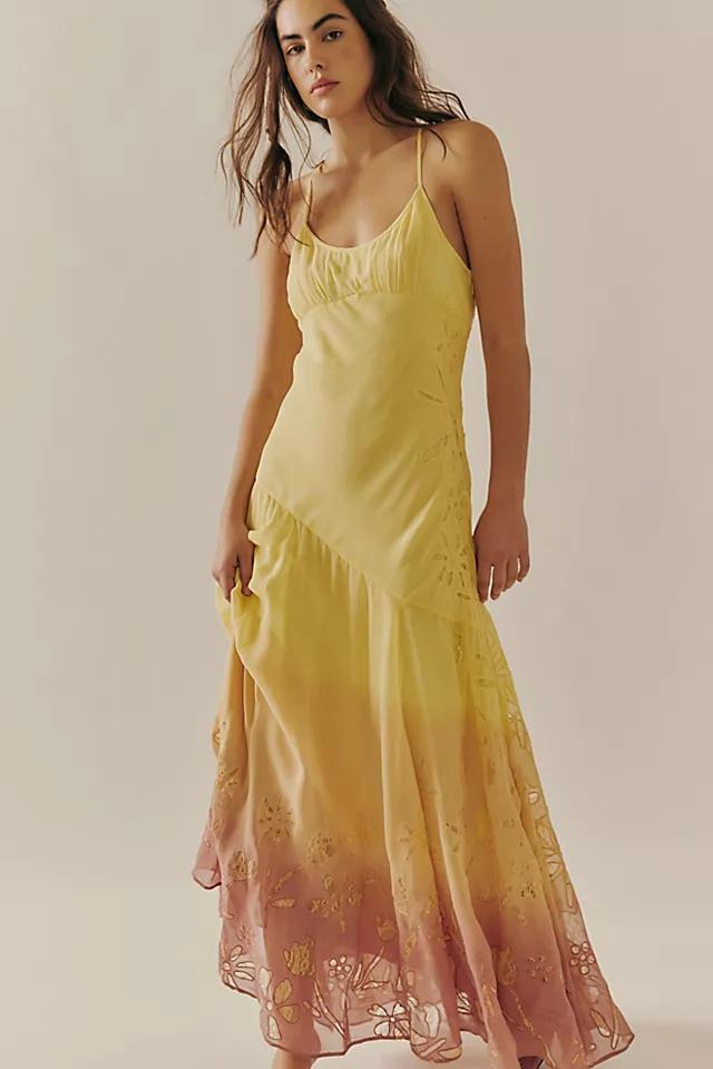 Spring Showers Maxi Dress Product Image