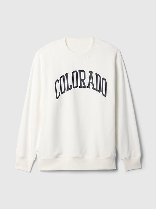 VintageSoft State Logo Sweatshirt Product Image