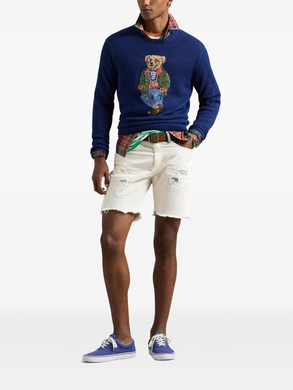 Polo Bear knitted sweater Product Image
