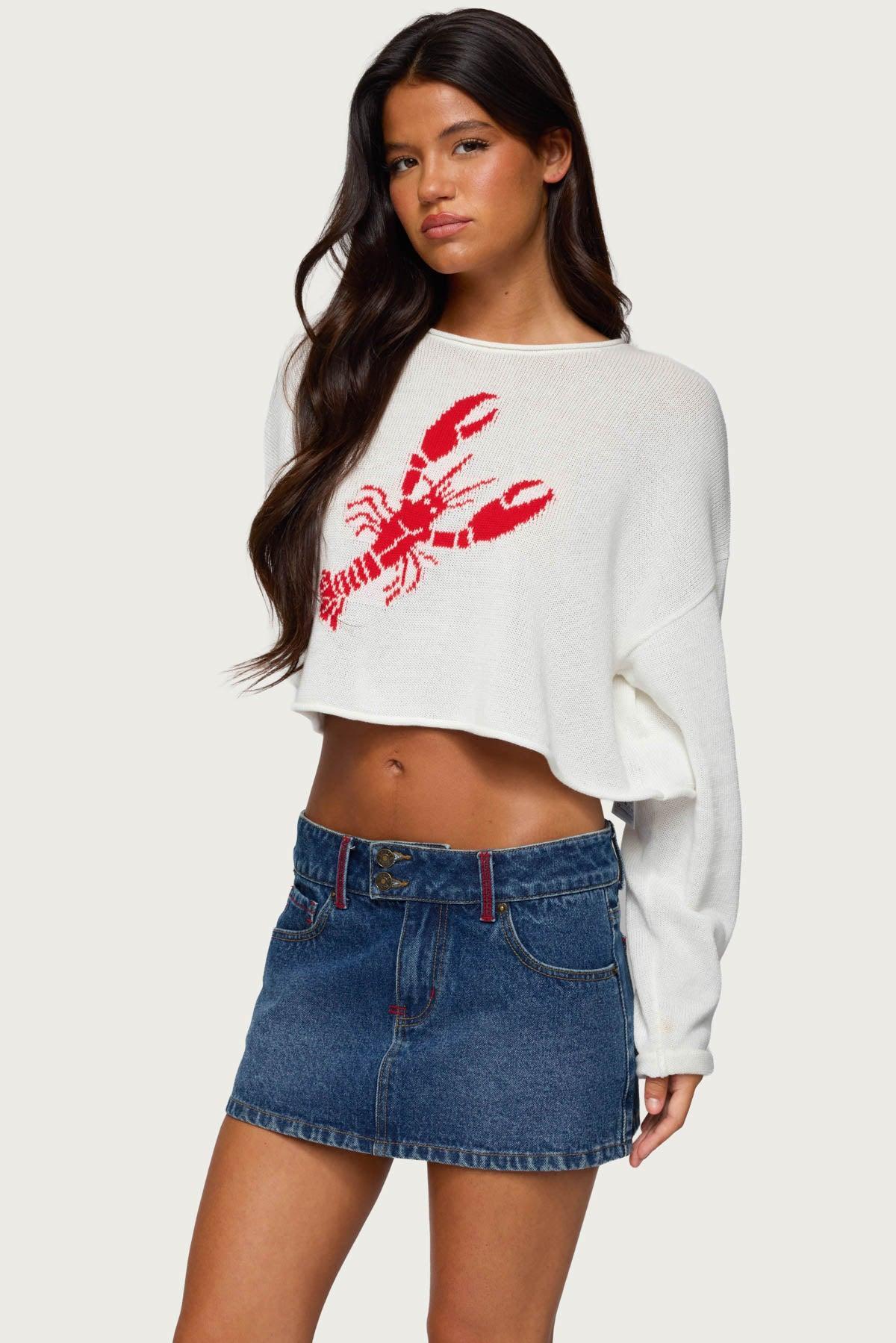 Lobster Babe Oversized Knit Top Product Image