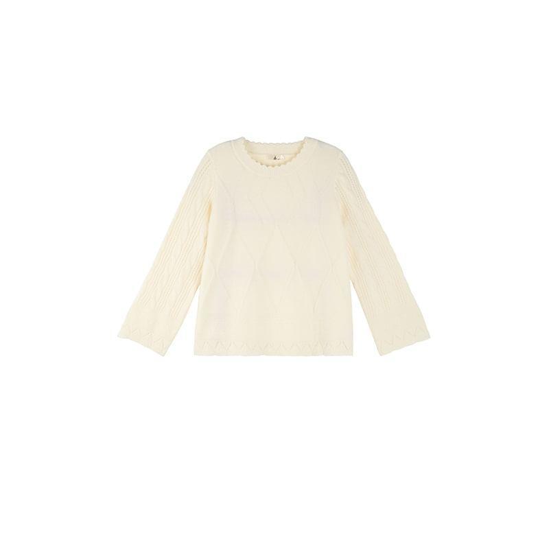 Plus Size Flare-Sleeve Crewneck Plain Knit Top Product Image