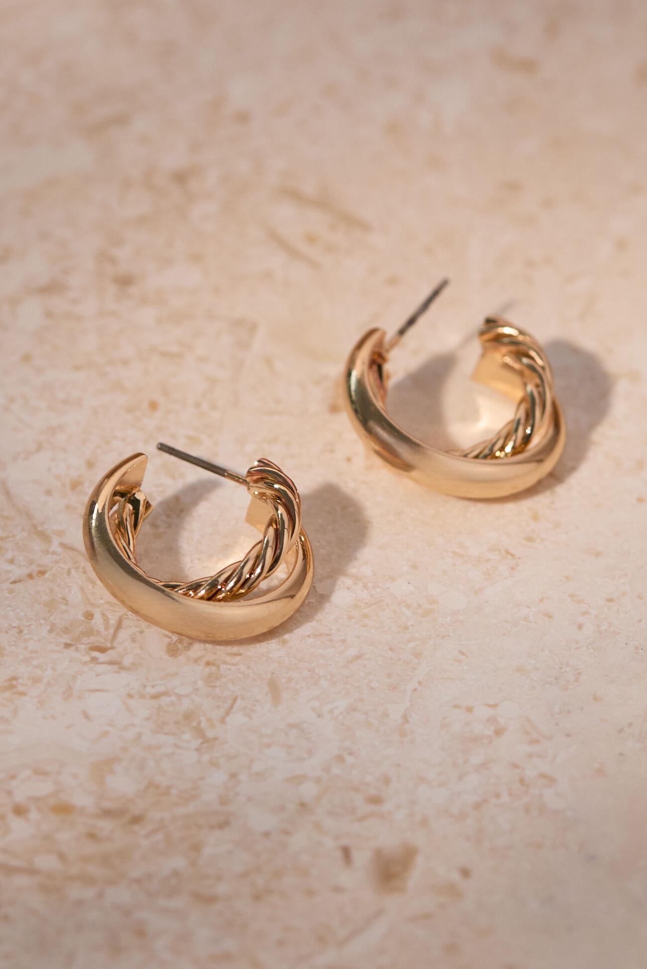 Twisted Double Layer Mini Hoops Product Image